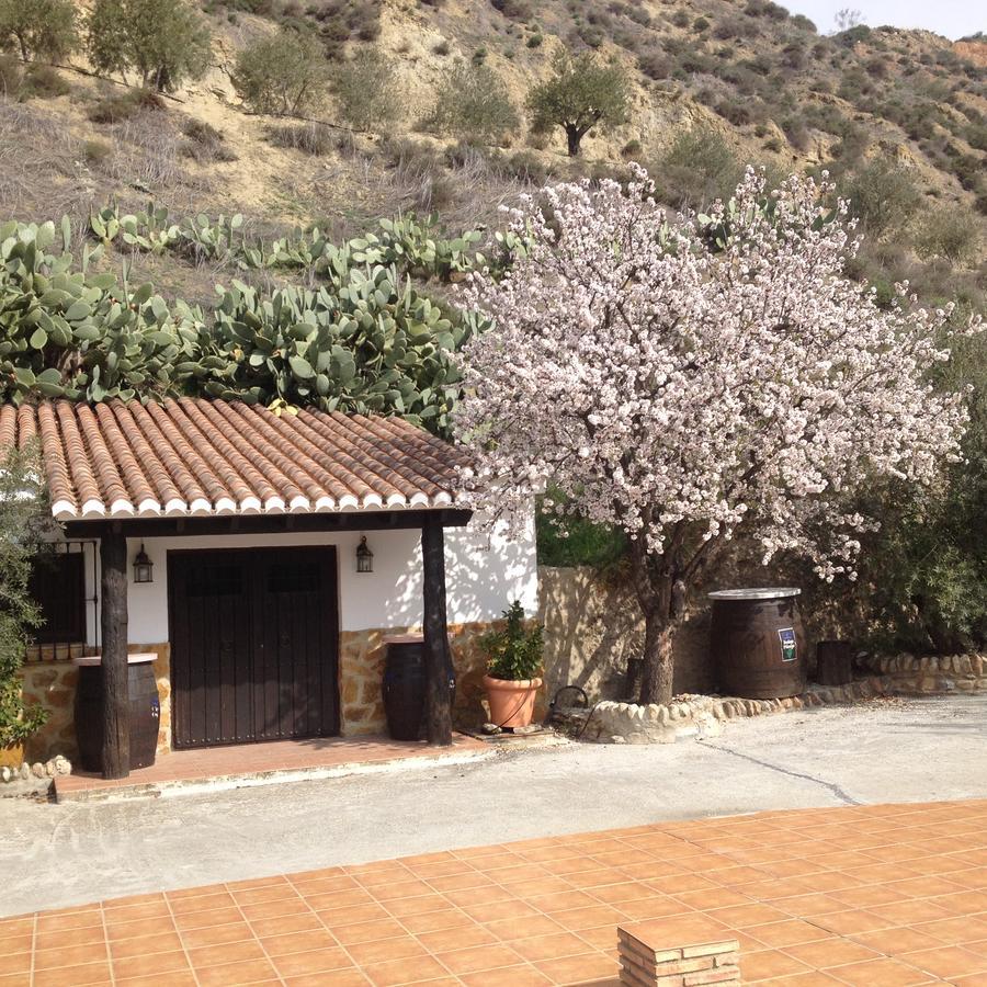 דירות מונאצ'יל Cortijo Pilongo מראה חיצוני תמונה